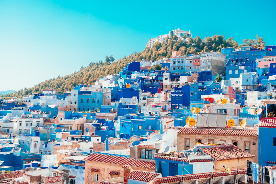 Chefchaouen Morocco — narrow blue-painted alley with stone steps and a cat in the Rif Mountains medina