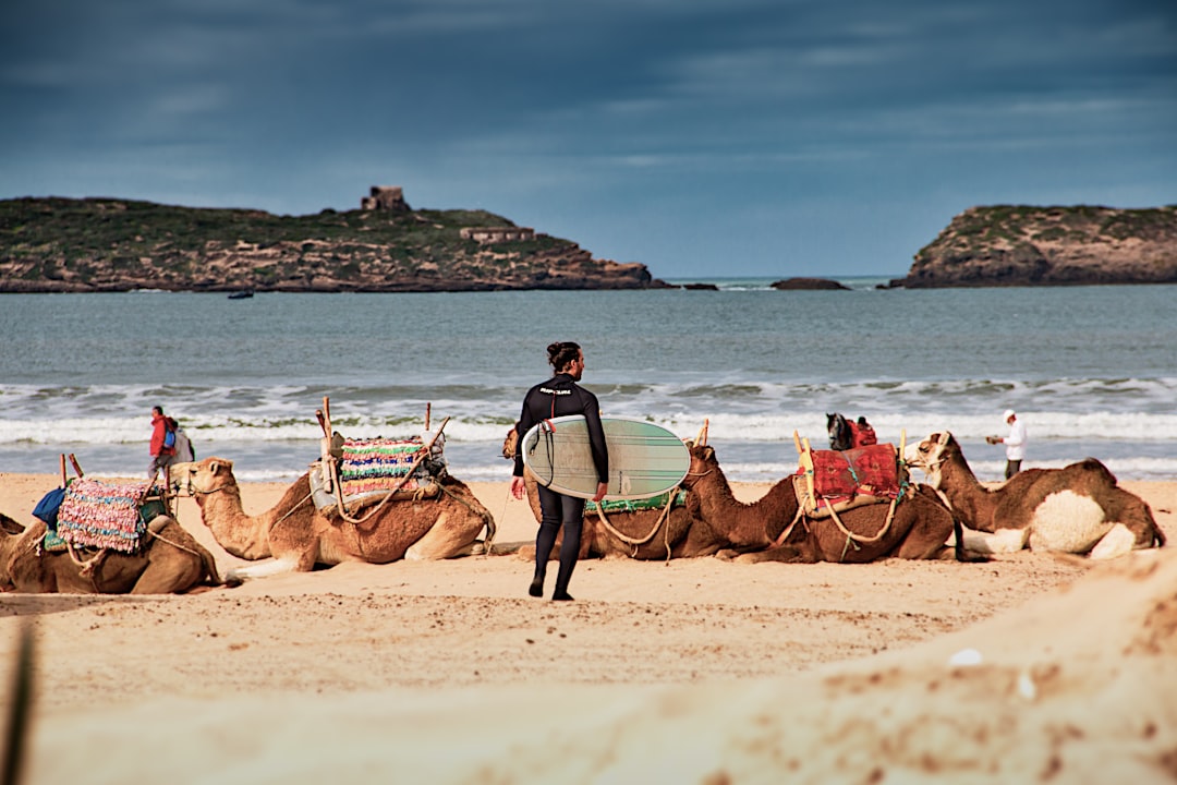 Soft-top beginner surfboards lined up on the sand at a Morocco surf camp — the foam boards first-timers learn on